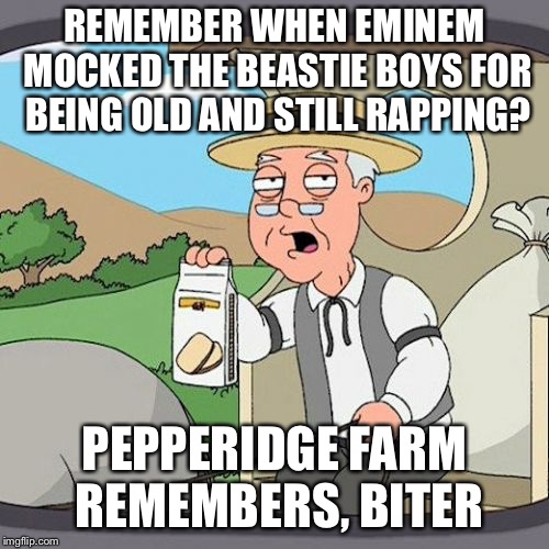 "Channeling Your Inner Beastie Boy" Again Old Man? | REMEMBER WHEN EMINEM MOCKED THE BEASTIE BOYS FOR BEING OLD AND STILL RAPPING? PEPPERIDGE FARM REMEMBERS, BITER | image tagged in memes,pepperidge farm remembers,beastie boys,eminem,hip hop,music | made w/ Imgflip meme maker