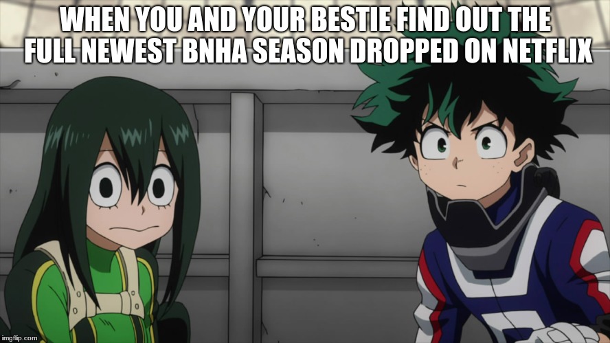 Bnha Netflix |  WHEN YOU AND YOUR BESTIE FIND OUT THE FULL NEWEST BNHA SEASON DROPPED ON NETFLIX | image tagged in my hero academia,anime,netflix | made w/ Imgflip meme maker