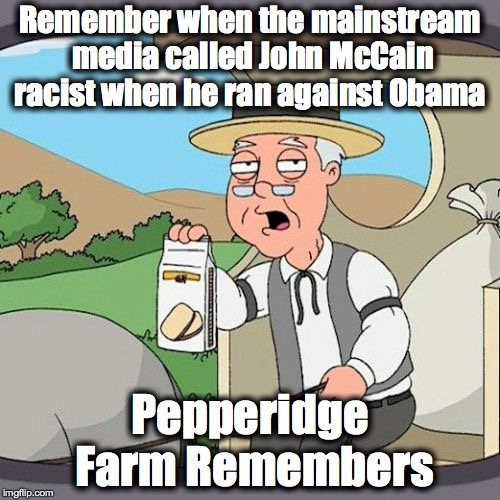 Pepperidge Farm Remembers | Remember when the mainstream media called John McCain racist when he ran against Obama; Pepperidge Farm Remembers | image tagged in memes,pepperidge farm remembers | made w/ Imgflip meme maker