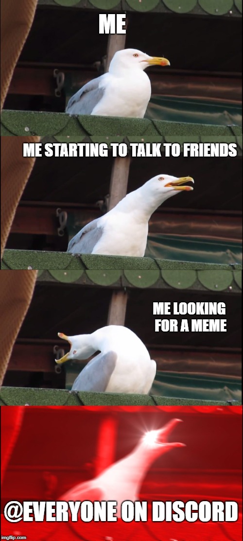 ALWAYS HAPPEN (le person) YOU MOTHER FU- | ME; ME STARTING TO TALK TO FRIENDS; ME LOOKING FOR A MEME; @EVERYONE ON DISCORD | image tagged in memes,inhaling seagull,discord | made w/ Imgflip meme maker