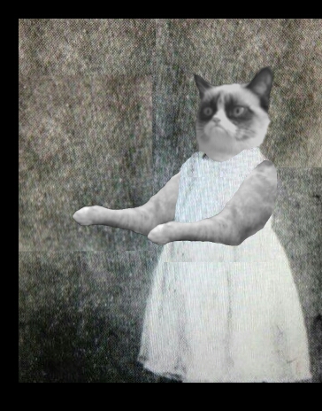 Overly manly toddler grumpy cat Blank Meme Template