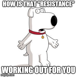 Still your PRESIDENT , breaking records, making historical positive changes that we all benefit from. | HOW IS THAT "RESISTANCE"; WORKING OUT FOR YOU | image tagged in memes,family guy brian | made w/ Imgflip meme maker