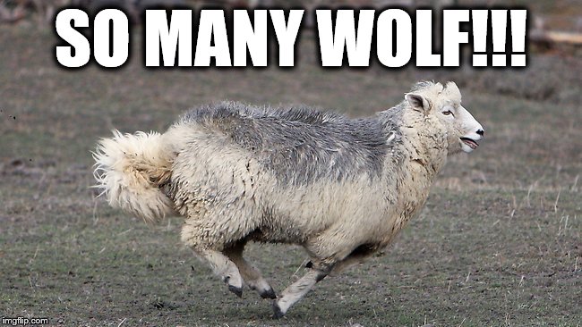 SO MANY WOLF!!! | made w/ Imgflip meme maker