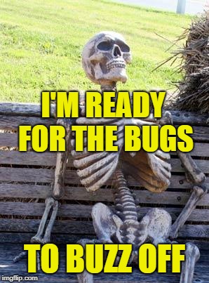 Waiting Skeleton Meme | I'M READY FOR THE BUGS TO BUZZ OFF | image tagged in memes,waiting skeleton | made w/ Imgflip meme maker