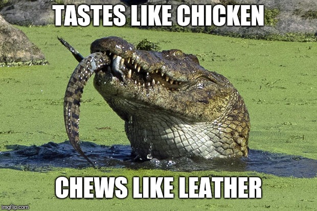 Cannibal Croc | TASTES LIKE CHICKEN; CHEWS LIKE LEATHER | image tagged in cannibal croc,memes | made w/ Imgflip meme maker