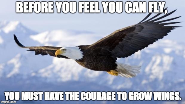 An Eagle's Wise Words | BEFORE YOU FEEL YOU CAN FLY, YOU MUST HAVE THE COURAGE TO GROW WINGS. | image tagged in eagle | made w/ Imgflip meme maker