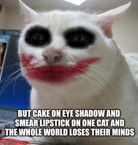 Joker Cat | BUT CAKE ON EYE SHADOW AND SMEAR LIPSTICK ON ONE CAT AND THE WHOLE WORLD LOSES THEIR MINDS | image tagged in the joker,batman,cat,lipstick,eye shadow,truth teller | made w/ Imgflip meme maker