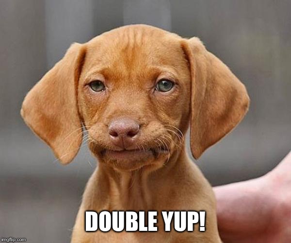 Yup | DOUBLE YUP! | image tagged in yup | made w/ Imgflip meme maker