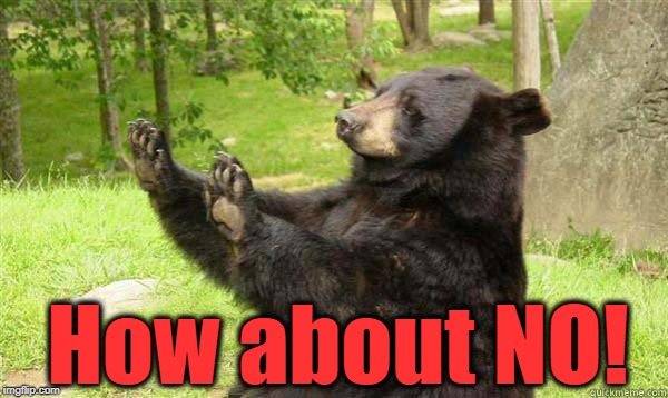 How about no bear | How about NO! | image tagged in how about no bear | made w/ Imgflip meme maker