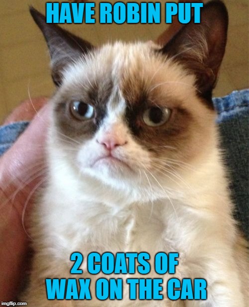 Grumpy Cat Meme | HAVE ROBIN PUT 2 COATS OF WAX ON THE CAR | image tagged in memes,grumpy cat | made w/ Imgflip meme maker