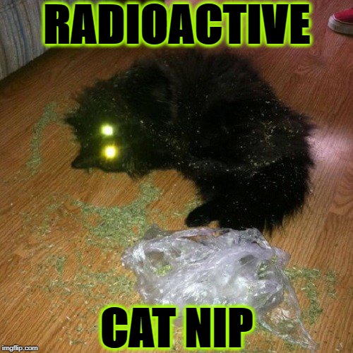 RADIOACTIVE; CAT NIP | image tagged in nuclear | made w/ Imgflip meme maker