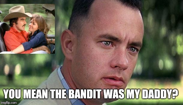 Forest Gump | YOU MEAN THE BANDIT WAS MY DADDY? | image tagged in forest gump | made w/ Imgflip meme maker