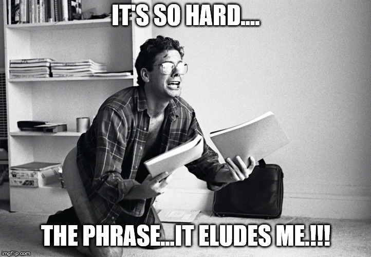 Desperate writer | IT'S SO HARD.... THE PHRASE...IT ELUDES ME.!!! | image tagged in desperate writer | made w/ Imgflip meme maker