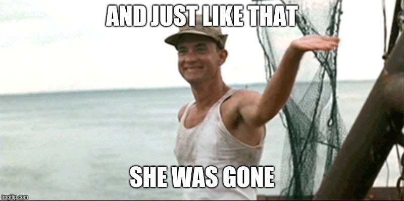 Forest Gump waving | AND JUST LIKE THAT; SHE WAS GONE | image tagged in forest gump waving | made w/ Imgflip meme maker