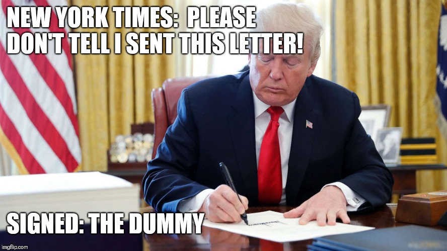 Trump | NEW YORK TIMES: 
PLEASE DON'T TELL I SENT THIS LETTER! SIGNED: THE DUMMY | image tagged in donald trump | made w/ Imgflip meme maker
