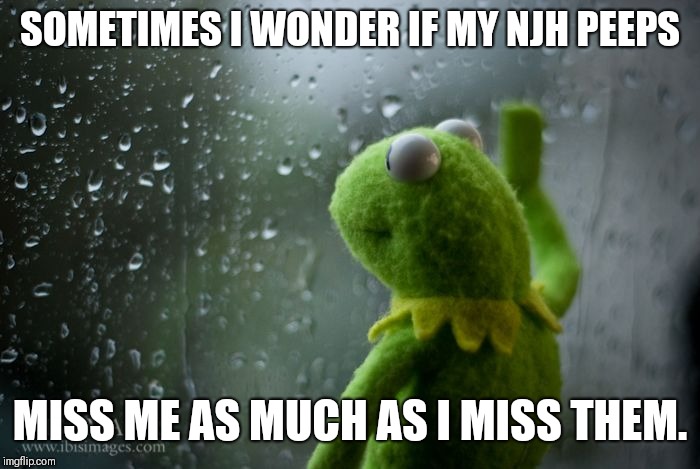 kermit window | SOMETIMES I WONDER IF MY NJH PEEPS; MISS ME AS MUCH AS I MISS THEM. | image tagged in kermit window | made w/ Imgflip meme maker