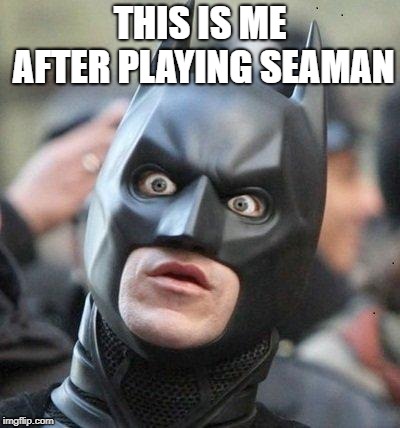 for those who did played it on the dreamcast | THIS IS ME AFTER PLAYING SEAMAN | image tagged in shocked batman | made w/ Imgflip meme maker