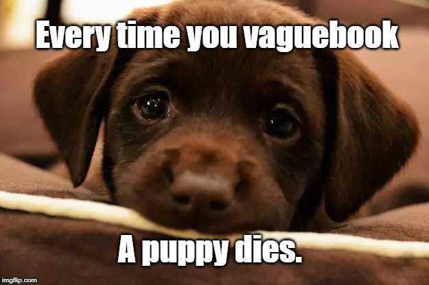 Vaguebook | Every time you vaguebook; A puppy dies. | image tagged in warning | made w/ Imgflip meme maker