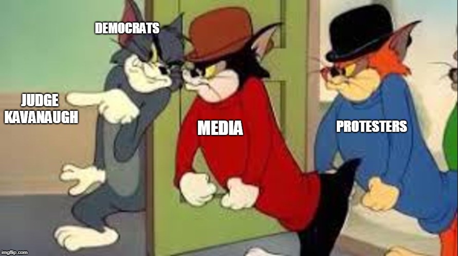 Tom and Jerry Goons | DEMOCRATS; JUDGE KAVANAUGH; PROTESTERS; MEDIA | image tagged in tom and jerry goons | made w/ Imgflip meme maker