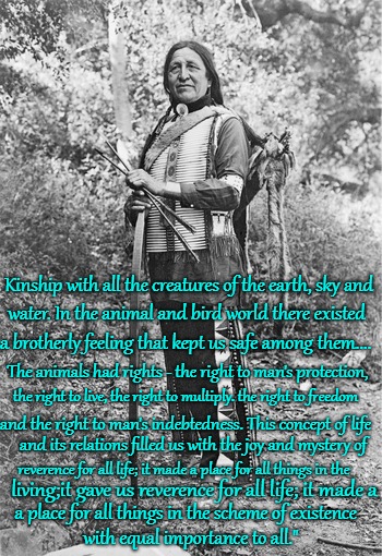 Chief Luther Standing Bear | Kinship with all the creatures of the earth, sky and; water. In the animal and bird world there existed; a brotherly feeling that kept us safe among them.... The animals had rights - the right to man's protection, the right to live, the right to multiply. the right to freedom; and the right to man's indebtedness. This concept of life; and its relations filled us with the joy and mystery of; reverence for all life; it made a place for all things in the; living;it gave us reverence for all life; it made a; a place for all things in the scheme of existence; with equal importance to all." | image tagged in native american,native americans,indians,chief,indian chiefs,god | made w/ Imgflip meme maker