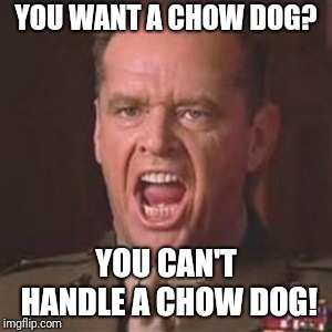 You can't handle the truth | YOU WANT A CHOW DOG? YOU CAN'T HANDLE A CHOW DOG! | image tagged in you can't handle the truth | made w/ Imgflip meme maker