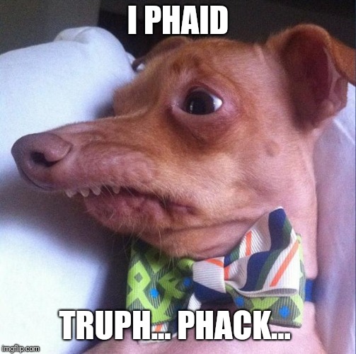 Tuna the dog (Phteven) | I PHAID; TRUPH... PHACK... | image tagged in tuna the dog phteven | made w/ Imgflip meme maker