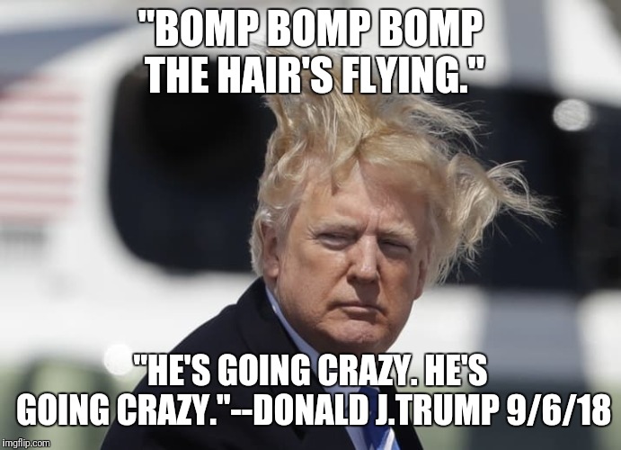 "BOMP BOMP BOMP THE HAIR'S FLYING."; "HE'S GOING CRAZY. HE'S GOING CRAZY."--DONALD J.TRUMP 9/6/18 | image tagged in donald trump hair | made w/ Imgflip meme maker
