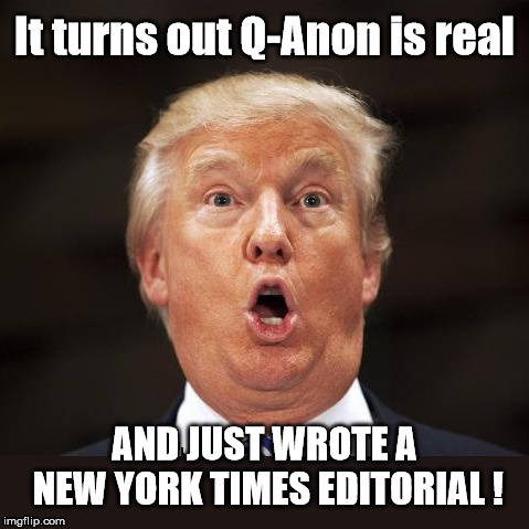It's Just A (Conspiracy) Theory | It turns out Q-Anon is real; AND JUST WROTE A NEW YORK TIMES EDITORIAL ! | image tagged in qanon,donald trump,trump,trump supporters,trump meme,anti trump | made w/ Imgflip meme maker