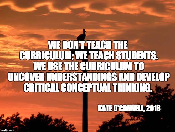 WE DON’T TEACH THE CURRICULUM; WE TEACH STUDENTS. WE USE THE CURRICULUM TO UNCOVER UNDERSTANDINGS AND DEVELOP CRITICAL CONCEPTUAL THINKING. KATE O'CONNELL, 2018 | image tagged in photo by elaine reimann | made w/ Imgflip meme maker