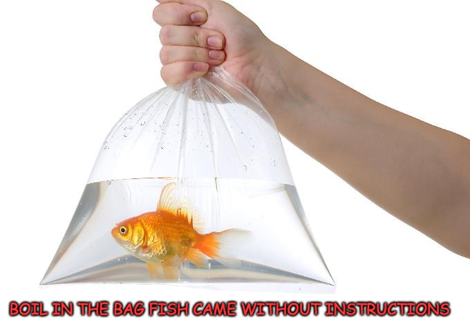 Comes without cooking instructions | BOIL IN THE BAG FISH CAME WITHOUT INSTRUCTIONS | image tagged in goldfish,daily cooking lesson | made w/ Imgflip meme maker