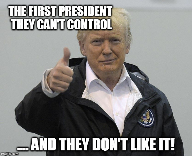 President Trump Self Control | THE FIRST PRESIDENT THEY CAN'T CONTROL; .... AND THEY DON'T LIKE IT! | image tagged in president trump | made w/ Imgflip meme maker