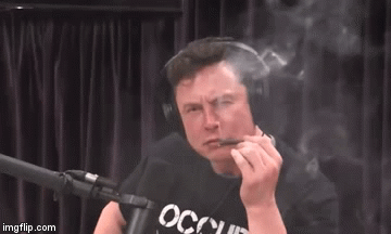 South African ganja's better than this sh*t | image tagged in gifs,elon musk | made w/ Imgflip video-to-gif maker