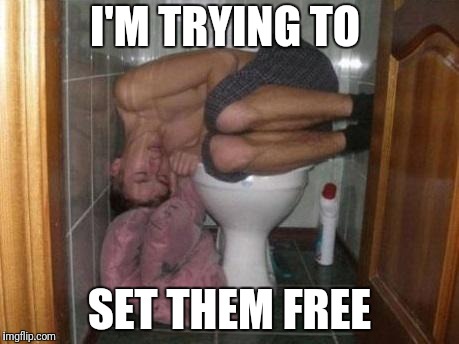 Sleeping on toilet | I'M TRYING TO SET THEM FREE | image tagged in sleeping on toilet | made w/ Imgflip meme maker