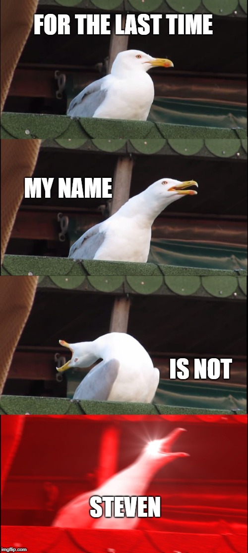 Inhaling Seagull Meme | FOR THE LAST TIME; MY NAME; IS NOT; STEVEN | image tagged in memes,inhaling seagull | made w/ Imgflip meme maker