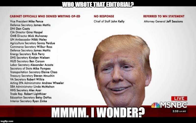 Trump Ponders............ | WHO WROTE THAT EDITORIAL? MMMM. I WONDER? | image tagged in donald trump,trump,president trump | made w/ Imgflip meme maker