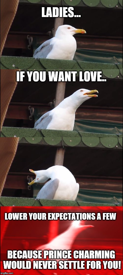 Bo Burnham Speaks Truth | LADIES... IF YOU WANT LOVE.. LOWER YOUR EXPECTATIONS A FEW; BECAUSE PRINCE CHARMING WOULD NEVER SETTLE FOR YOU! | image tagged in memes,inhaling seagull,bo burnham | made w/ Imgflip meme maker