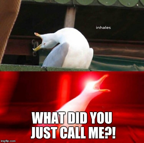 Inhaling Seagull  | WHAT DID YOU JUST CALL ME?! | image tagged in inhaling seagull | made w/ Imgflip meme maker