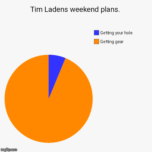 Tim Ladens weekend plans. | Getting gear , Getting your hole | image tagged in funny,pie charts | made w/ Imgflip chart maker