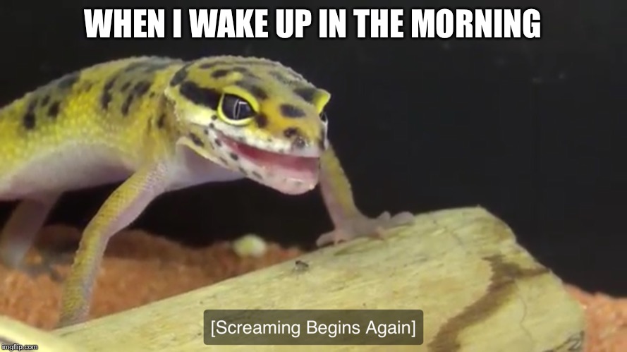 WHEN I WAKE UP IN THE MORNING | image tagged in memes,lizard,screaming | made w/ Imgflip meme maker