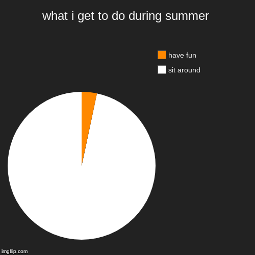 what i get to do during summer | sit around, have fun | image tagged in funny,pie charts | made w/ Imgflip chart maker