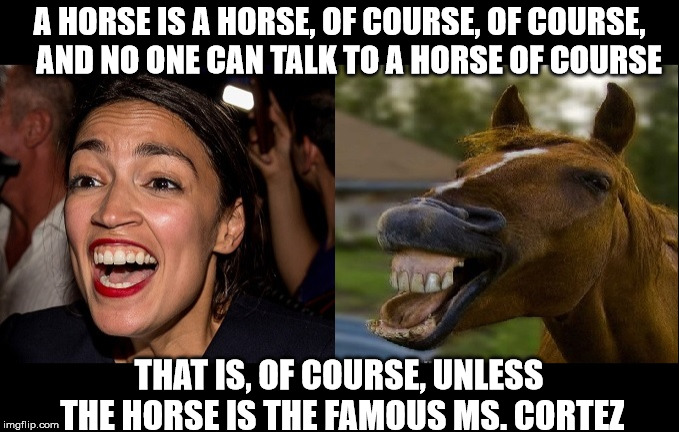 Cortez Horse Smile | A HORSE IS A HORSE, OF COURSE, OF COURSE,   AND NO ONE CAN TALK TO A HORSE OF COURSE; THAT IS, OF COURSE, UNLESS THE HORSE IS THE FAMOUS MS. CORTEZ | image tagged in cortez horse smile,memes,alexandria ocasio-cortez,funny animals | made w/ Imgflip meme maker