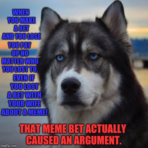 HE DIDN'T DO IT!!!  YOU DONT JUST RENEGE ON A BET!  THAT STUPID MEME CAUSED AN ARGUMENT! | WHEN YOU MAKE A BET AND YOU LOSE; YOU PAY UP NO MATTER WHO YOU LOST TO. EVEN IF YOU LOST A BET WITH YOUR WIFE ABOUT A MEME! THAT MEME BET ACTUALLY CAUSED AN ARGUMENT. | image tagged in exhausted husky,betrayal,divorce,memes,meme,ugh | made w/ Imgflip meme maker