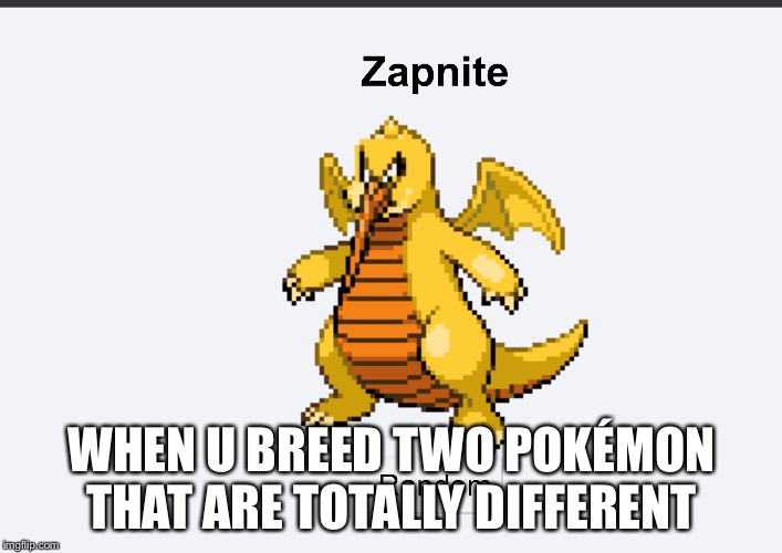 Pokémon breeds  | WHEN U BREED TWO POKÉMON THAT ARE TOTALLY DIFFERENT | image tagged in pokemon | made w/ Imgflip meme maker