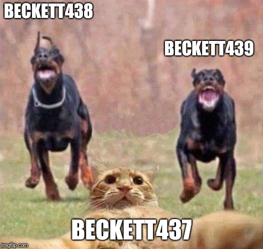 BECKETT438 BECKETT437 BECKETT439 | made w/ Imgflip meme maker