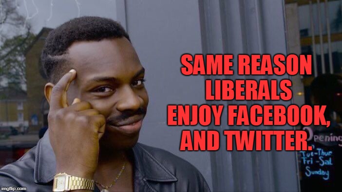 Roll Safe Think About It Meme | SAME REASON LIBERALS ENJOY FACEBOOK, AND TWITTER. | image tagged in memes,roll safe think about it | made w/ Imgflip meme maker
