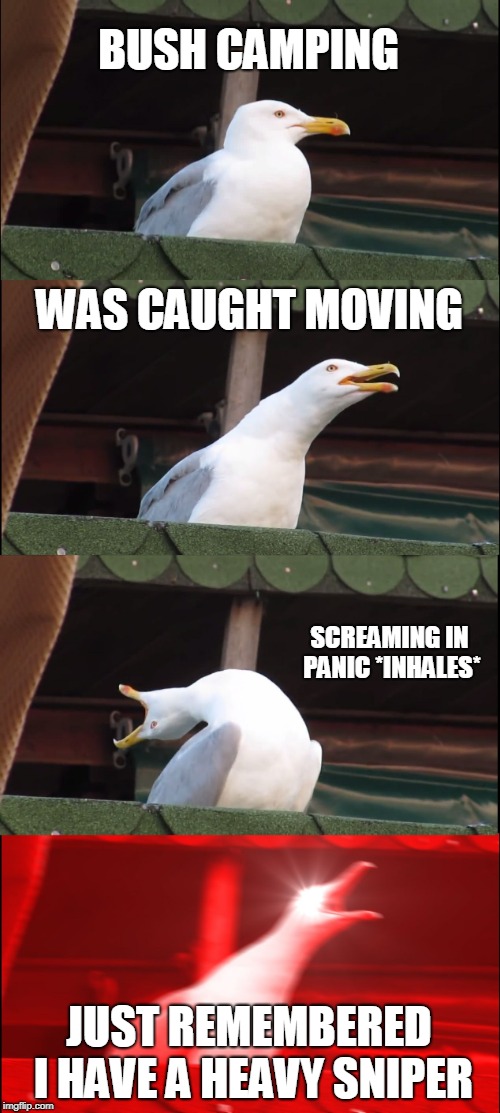 Inhaling Seagull | BUSH CAMPING; WAS CAUGHT MOVING; SCREAMING IN PANIC *INHALES*; JUST REMEMBERED I HAVE A HEAVY SNIPER | image tagged in memes,inhaling seagull,funny,fortnite,fortnite bush | made w/ Imgflip meme maker