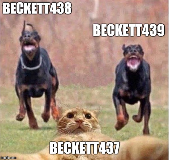 BECKETT438; BECKETT439; BECKETT437 | image tagged in beckett437,beckett438,beckett439 | made w/ Imgflip meme maker