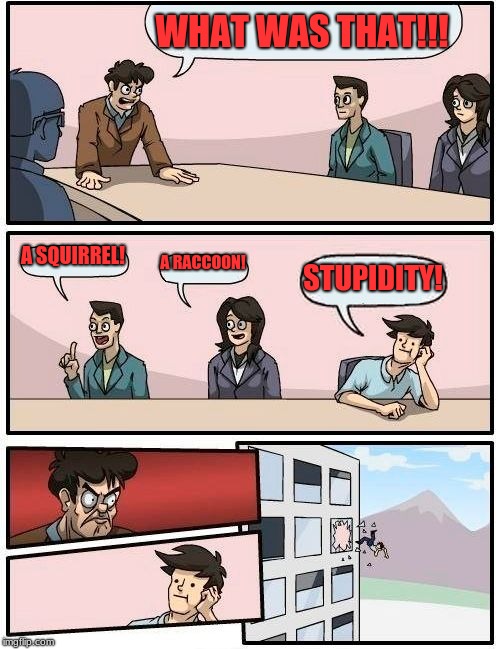 Boardroom Meeting Suggestion Meme | WHAT WAS THAT!!! A SQUIRREL! A RACCOON! STUPIDITY! | image tagged in memes,boardroom meeting suggestion | made w/ Imgflip meme maker