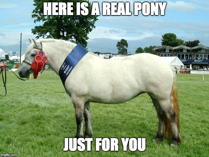 HERE IS A REAL PONY; JUST FOR YOU | made w/ Imgflip meme maker