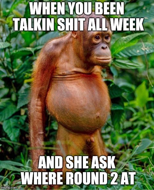 Round 2? | WHEN YOU BEEN TALKIN SHIT ALL WEEK; AND SHE ASK WHERE ROUND 2 AT | image tagged in animals,funny memes | made w/ Imgflip meme maker